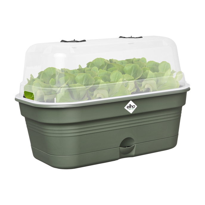 green basics anzucht schale allin1 m laubgrün